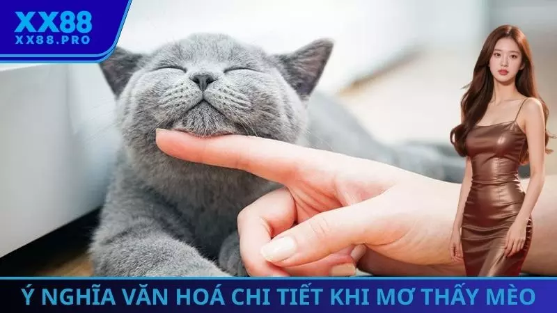 Ý nghĩa văn hoá chi tiết khi mơ thấy mèo
