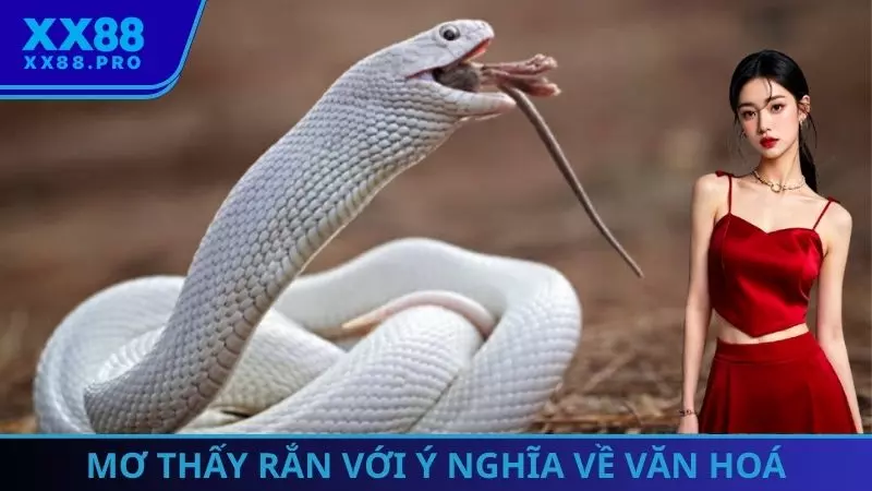 Mơ thấy rắn với ý nghĩa về văn hoá